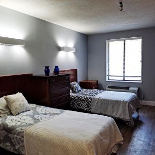 A minimalist bedroom featuring two twin beds with decorative bedding and a window allowing natural light to enter.