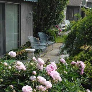 A serene garden with pink flowers and a cozy patio setup.