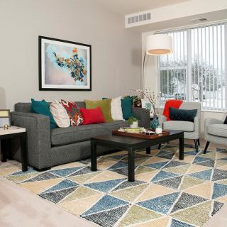 A cozy living room with a gray sofa adorned with colorful cushions, a geometric rug, and modern decor.