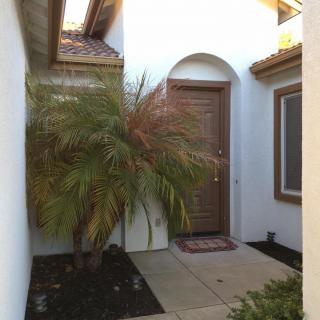 A home entrance with a wooden front door and a palm tree nearby.