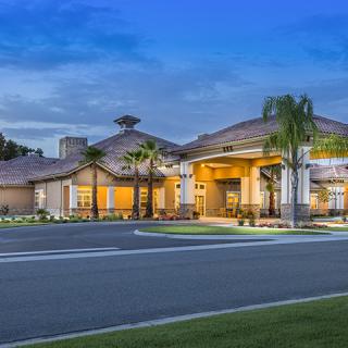 A well-lit building entrance surrounded by palm trees in the evening.