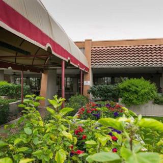 A garden with flowers in front of a building featuring an awning.