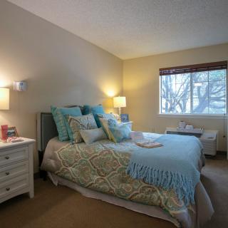 A cozy bedroom with a neatly arranged double bed and decorative pillows, flanked by nightstands and lamps, with natural light streaming through the window.