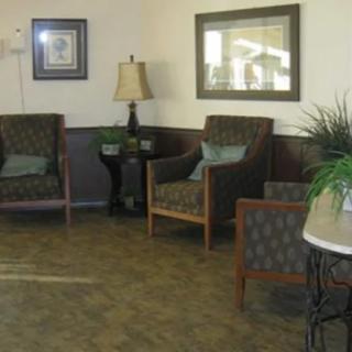 A cozy waiting area with chairs, a lamp, and decorative plants.
