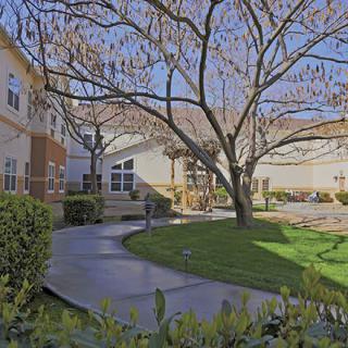 A serene outdoor courtyard with a tree, lush lawn, and surrounding buildings.