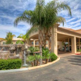 A hotel entrance surrounded by palm trees and greenery on a sunny day.