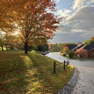 A picturesque suburban street adorned with vibrant autumn foliage under a partly cloudy sky.