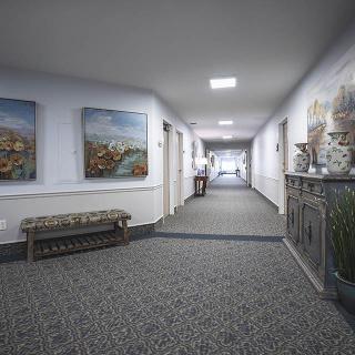 A well-decorated hallway with artwork on the walls and a carpeted floor.