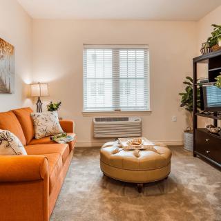 A cozy living room with an orange sofa, a round ottoman, and a TV stand adorned with indoor plants.