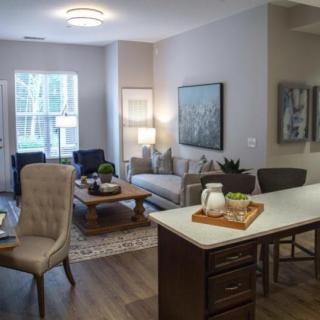 A modern and cozy open-concept living room and kitchen area with elegant furniture and decor.