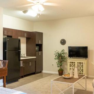 A modern apartment interior featuring a compact kitchen and cozy living area with a television and decorative plants.