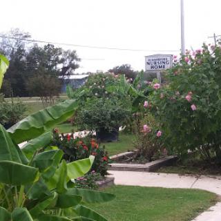 A serene garden scene showcasing vibrant plants and a winding pathway.