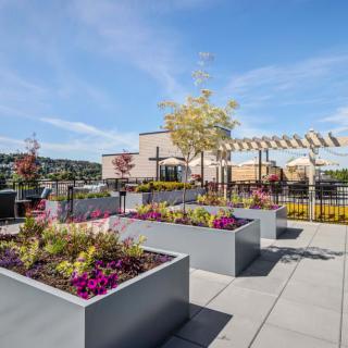 A beautifully designed urban rooftop garden with planters filled with vibrant flowers under a clear blue sky.