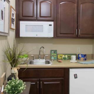 A cozy kitchen corner featuring dark wood cabinets, a microwave, and a small sink with plants adding a touch of greenery.