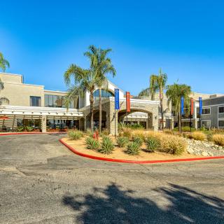 An exterior view of a hotel entrance surrounded by palm trees and landscaping under a clear blue sky.