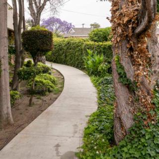 A winding pathway through a lush garden with trees and greenery.