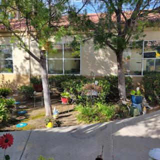 A charming garden space featuring trees, colorful plants, and seating areas.