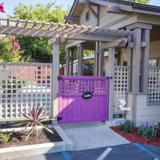 Roseberry Care
