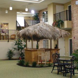 Indoor seating area with a tiki hut bar and surrounding plants.