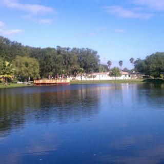 A serene view of a lake surrounded by trees under a clear blue sky.