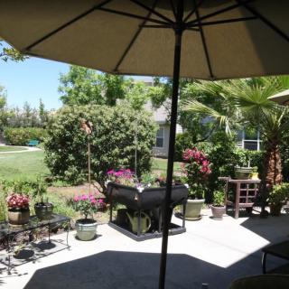 A sunny backyard patio with a grill, surrounded by lush greenery and colorful flowers.