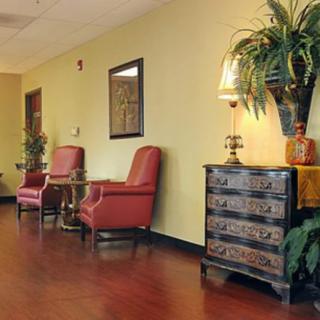 A cozy waiting area featuring red chairs, a decorative chest with a lamp, and lush green plants.