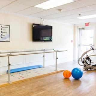 A rehabilitation room equipped with parallel bars and exercise balls.
