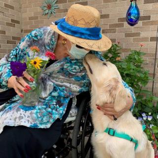 An elderly woman in a wheelchair, wearing a hat and mask, receives a friendly gesture from a dog while holding flowers.