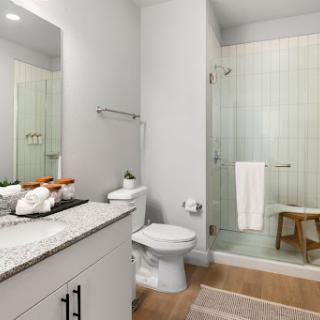 A stylish modern bathroom featuring a walk-in shower, sleek vanity, and minimalist decor.