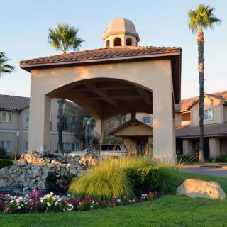 An elegant building entrance with a domed archway, surrounded by gardens and palm trees.