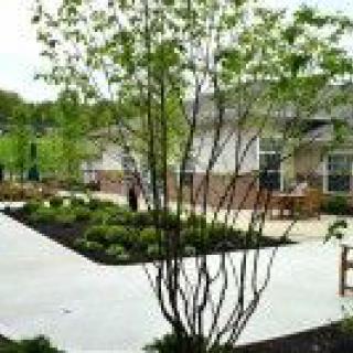 A well-landscaped garden with a winding pathway and lush greenery.