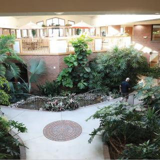 A spacious indoor atrium filled with lush greenery and plants.