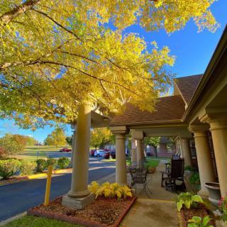 A picturesque autumn scene with golden leaves on a tree next to a charming building with columns.