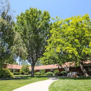 A sunny day featuring a pathway surrounded by trees and a building.