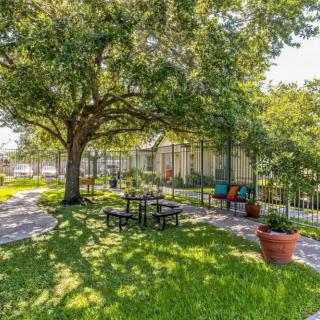 A serene park setting with a large tree providing shade over a bench and vibrant potted plants.
