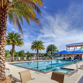 A sunny day by the outdoor swimming pool surrounded by palm trees.
