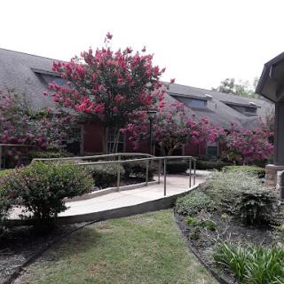 A serene garden pathway lined with vibrant flowering trees, leading towards a building.