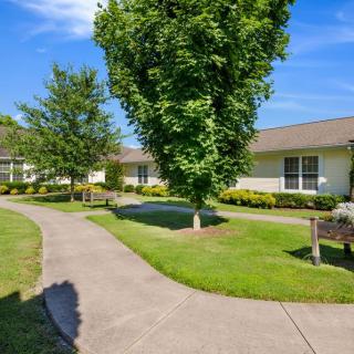 A scenic view of a pathway leading to a building, surrounded by lush greenery and trees under a clear blue sky.