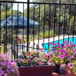 A scenic view of a backyard pool area with blooming flowers and an outdoor umbrella.