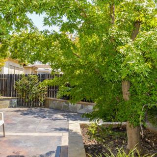 A sunny backyard garden with a large tree, patio area, and wooden fence.