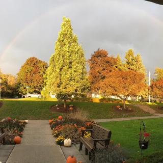 A vibrant rainbow arcs over a picturesque autumn landscape, featuring colorful trees and pumpkins.