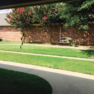A neatly manicured lawn with a bench near a brick wall, surrounded by trees.