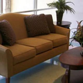A cozy living room setup with a brown sofa, decorative cushions, a coffee table, and an indoor plant.