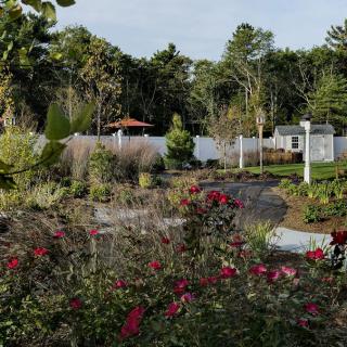 A serene garden landscape with vibrant flowers and lush greenery.