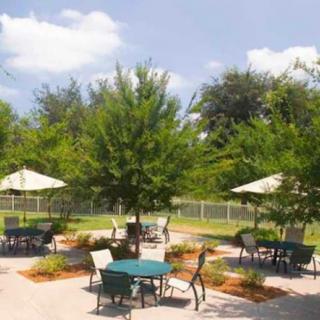A sunny outdoor patio with tables, chairs, and umbrellas surrounded by trees.