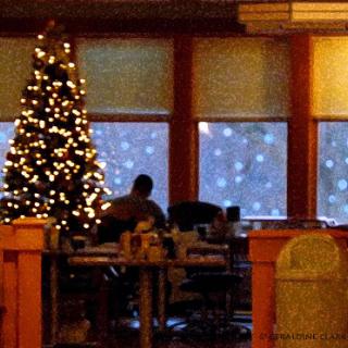 A cozy setting featuring a beautifully decorated Christmas tree, with snow gently falling outside.