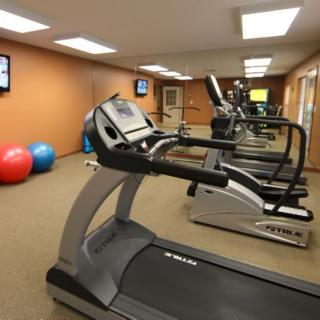 A well-equipped gym with treadmills and exercise balls.