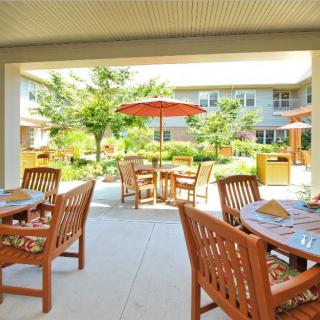 A sunny courtyard with multiple wooden tables and chairs, shaded by umbrellas, surrounded by greenery.