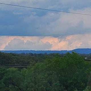 A serene view of the horizon with dramatic clouds and lush greenery.
