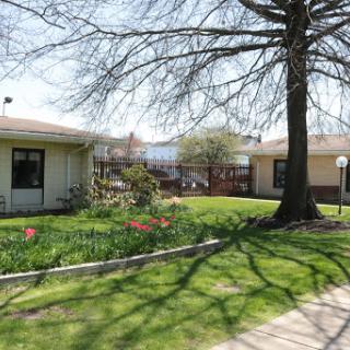 A tranquil view of a garden area with blooming flowers and a tree, surrounded by buildings under a clear sky.